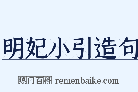 明妃小引造句是什么意思的图片